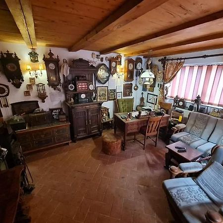 Pensiunea Otilia Sighişoara Exteriör bild